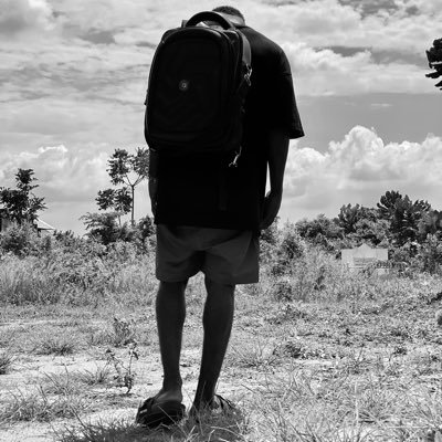 NvestorFiwasaye's profile picture. 