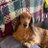 Maxene54658656's profile image