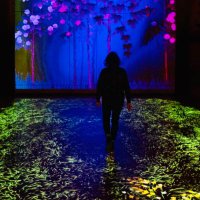 Anja_KS (@anja_aks) 's Twitter Profile