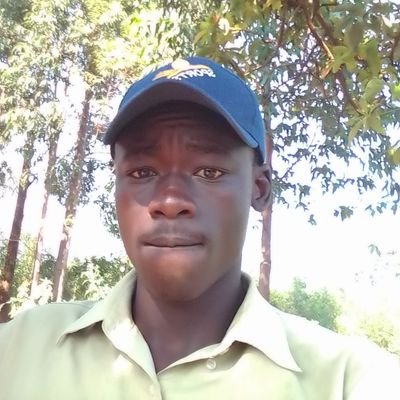 DavidObillo's profile picture. 