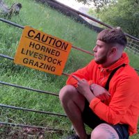 HORN (@_leghorn1) 's Twitter Profile