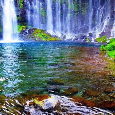 adinh88's profile picture. 