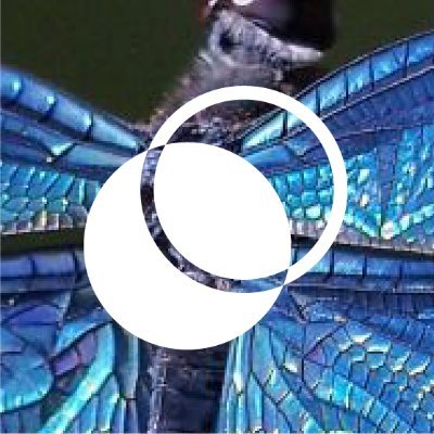 WePlanet DACH Profile