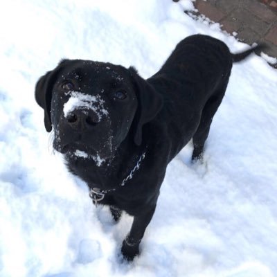 Desiray2022Lee's profile picture. 