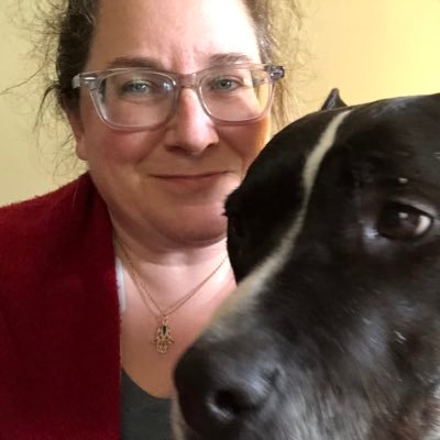 hollyloth's profile picture. Angry feminist, lit nerd, handicrafty, civic-minded. Schenectadian, Upstate New Yorker. Parent & spouse. Deputy Comms for @michelle4nys; opinions mine.
