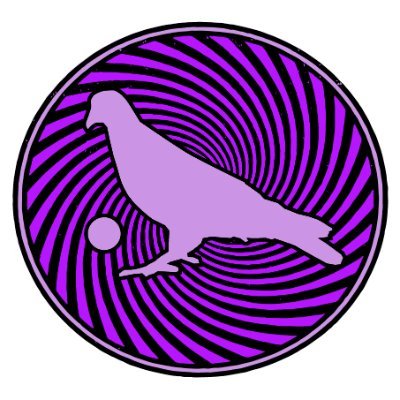 Pigeons Playing Ping Pong: High Energy Psychedelic Funk. Join The Flock!