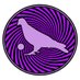 PigeonsPlayingMusic | New Album Out 4/26! (@pigeonsplaying) Twitter profile photo
