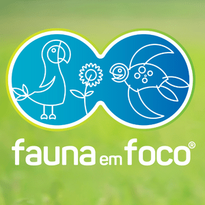 faunaemfoco Profile Picture
