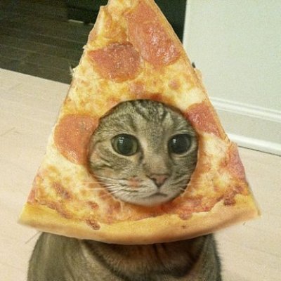 tehsinistar's profile picture. 🔞 Lewd 3D animator, I post cringe most of the time. 🔞

https://t.co/noWUVXFQMy
https://t.co/3QOVtRrIJY