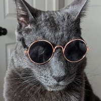 RedDAR (@reddar76) 's Twitter Profile