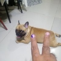 papa e (@santos_erwin) 's Twitter Profile