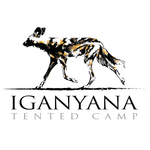 Iganyana Tented Camp(@IganyanaTC) 's Twitter Profile Photo