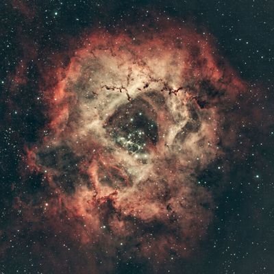 Astronomy, cycling, walking, wildlife & mountain biking. IG @paulastroimages
https://t.co/wPdUrPNzYZ