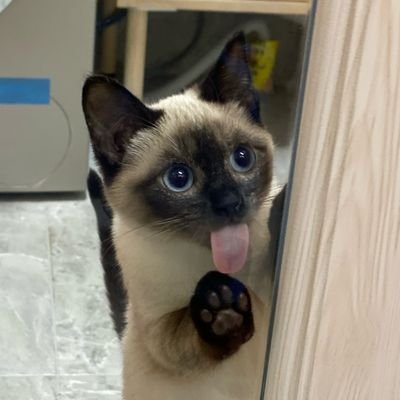 らくらく_寝るさんのプロフィール画像