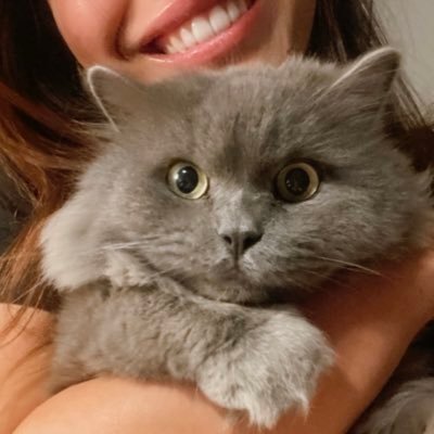 shaydaymutairay's profile picture. I'm just a soft french fry in the Happy Meal of Life. Medical Doctor. Dermatology Resident.