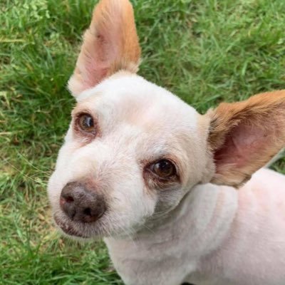 honestheart074's profile picture. Who you are!