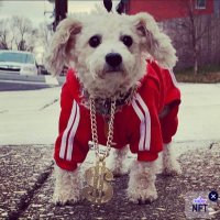 PhillySportsDude (@sharpstatsguy) 's Twitter Profile Photo