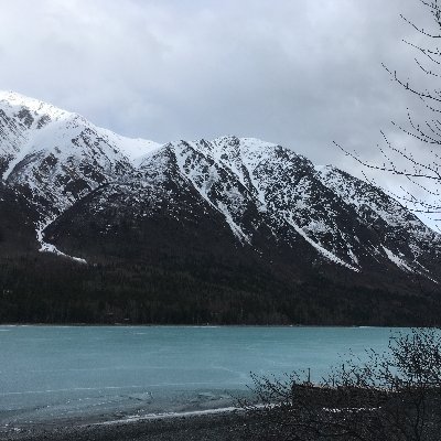 Bai1994Xueying's profile picture. 