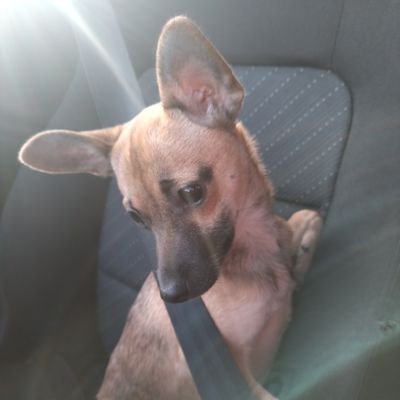 M50B80's profile picture. Hello World 🥳