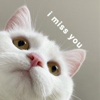 Bolinad (@bolinad3) 's Twitter Profile