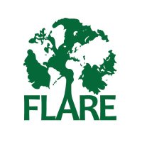 FLARE Network(@FLAREglobal) 's Twitter Profile Photo