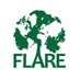 FLARE Network (@FLAREglobal) Twitter profile photo