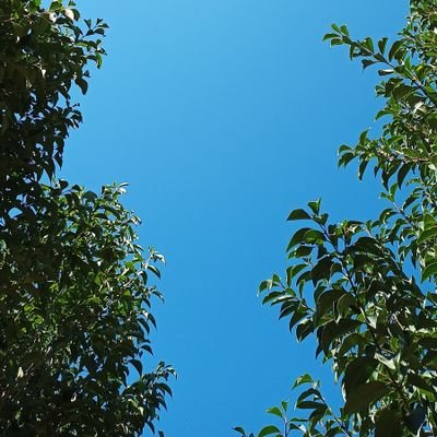 sofiago19152679's profile picture. ❤️