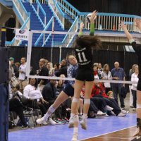 Finley Sparks (@finleysparks25) 's Twitter Profile