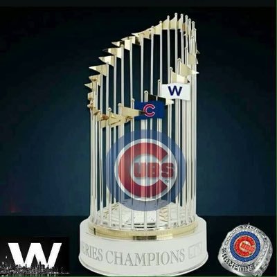 l love the Chicago Cubs!