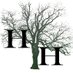 Hearne Hardwoods Inc (@hearnehardwoods) Twitter profile photo Hearne Hardwoods Inc (@hearnehardwoods) Twitter profile photo