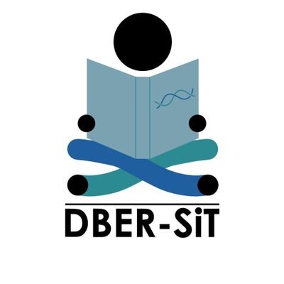 DBER-SiT