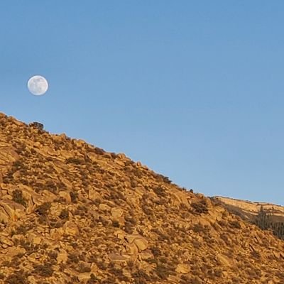 A loner who listens to the wind talk through the grass and trees. Love New Mexico and people who spread peace.