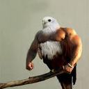 Marcel Baril - @MarcelBaril - Twitter