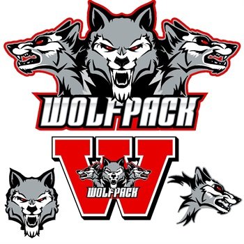 The Woodland Wolfpack Basketball program exists to leverage the game of basketball and develop student athletes by cultivating young men.