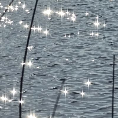 BelindaEkkel's profile picture. 