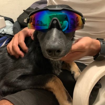 KarlaCern8's profile picture. Siempre olvido los cumpleaños