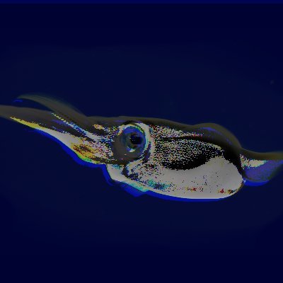 SquidRisc's profile picture. Cybercrime, Cybercrime Prevention, Behavioural Economics, Cybersecurity, StoryTelling with Video and Sound. Nothing official, just a friendly squid.