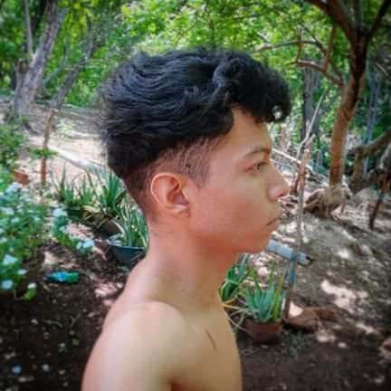 Rodrik4_1's profile picture. @Rodrik4_1
Amante de la música Trance