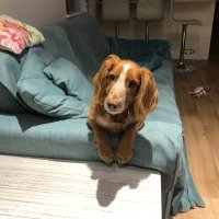 Debbie Needham (@debbieneedham8) 's Twitter Profile Photo Debbie Needham (@debbieneedham8) 's Twitter Profile Photo
