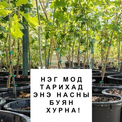 БАЙГАЛИЙГ БАЙГАЛИАР НЬ ГОЁНО. ХАМТДАА МОД ТАРЬЦГААЯ!  95957306