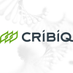 CRIBIQ (@cribiq) Twitter profile photo CRIBIQ (@cribiq) Twitter profile photo