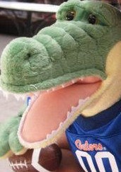 Mariagator's profile picture. #GatorNation #ItsGreatUF #GoGators