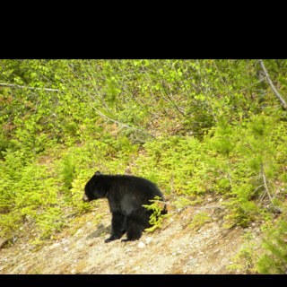 DonDodds's profile picture. 