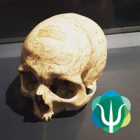 Quentin Sénant (@senantq) 's Twitter Profile Photo