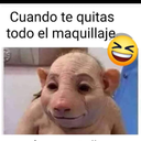 Fidel Isaac Hipólito Macedonio - @FidelMacedonio1 - Twitter