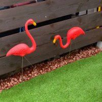 Afys hair (@afyshair310) Twitter profile photo