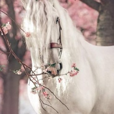 f000z07's profile picture. 