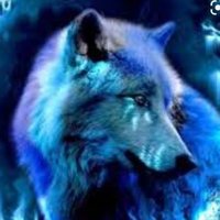 SpaceWolf7(@Wolf7Space) 's Twitter Profile Photo