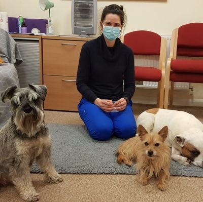 Providing Veterinary Acupuncture and Complementary Care for the pet population of the South Lakes and Lancashire