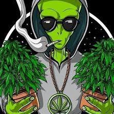 KellenWallace3's profile picture. NFT specialist. Internet evangelist. Incurable thinker. Entrepreneur. Total zombie fanatic. Introvert. Writer. Travel trailblazer.